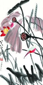 荷花翠鸟