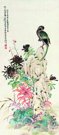 鹦鹉