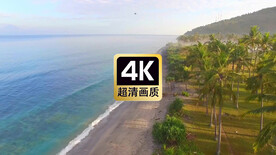 风景素材热带椰林海滩