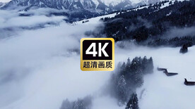 风景素材雪原上的村庄树林