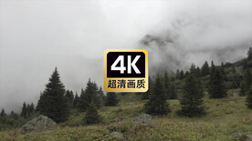 风景素材山坡上厚厚的云雾