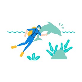 海豚游泳