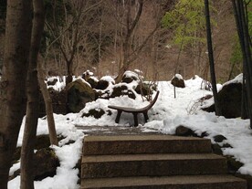 雪后