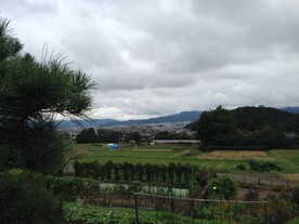俯瞰田园