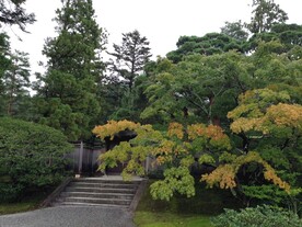 院门