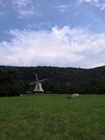 杭州太子湾公园 