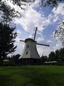 杭州太子湾 大风车