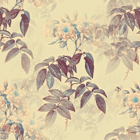 无缝印花