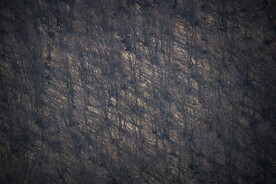 黑色背景
