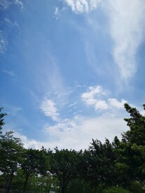 蓝天白云
