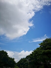 蓝天白云