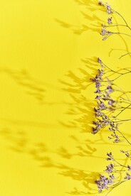 干花