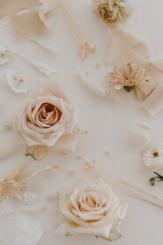 玫瑰花