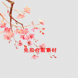 红梅