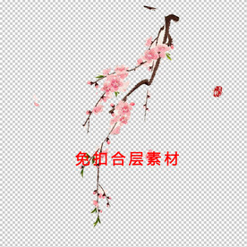 红梅
