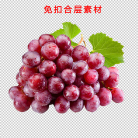 葡萄