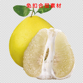 柚子