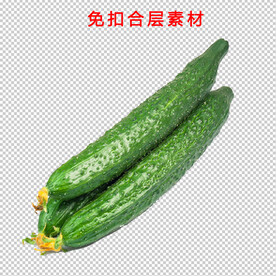 黄瓜