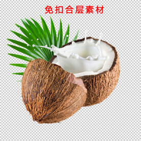 椰子