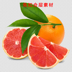 柚子