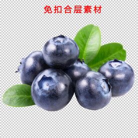 蓝莓