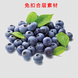 蓝莓