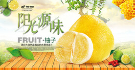 精美柚子水果海报