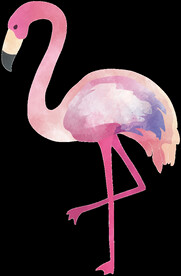 梦觉创意动物合成图片