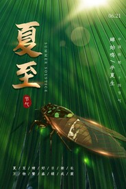 夏至节气传统活动宣传海报素材