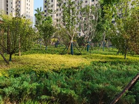 辛集公园首府小区园林绿化景观