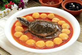 土豆甲鱼