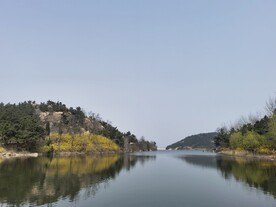 风景