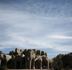 八达岭野生动物园