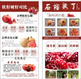 石榴熟了