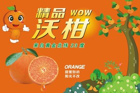 沃柑