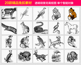 黑白线稿动物免抠素材
