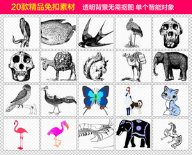 蝴蝶大象动物昆虫免抠素材