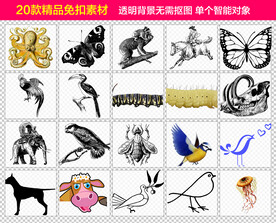 昆虫小鸟动物免抠素材