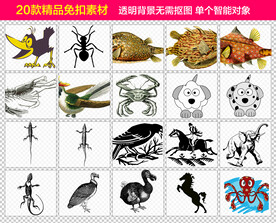 动物水中生物免抠素材