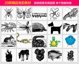 动物免抠素材