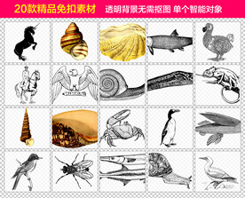 黑白线稿动物免抠素材
