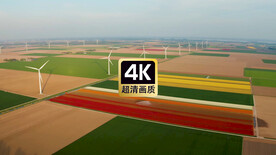短视频素材农田里的风力发电机