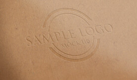 硬板纸纹凹凸logo展示样机