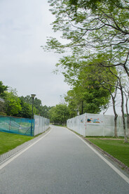 公园小路