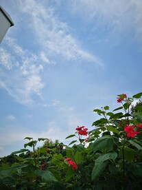 蓝天白云