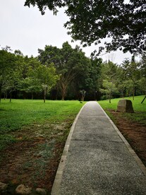 小路