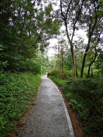 小路