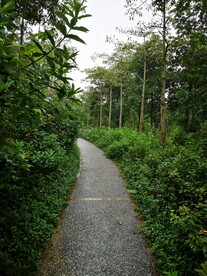 小路