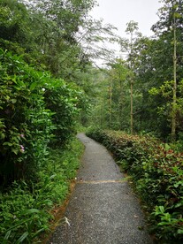 小路