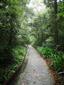小路